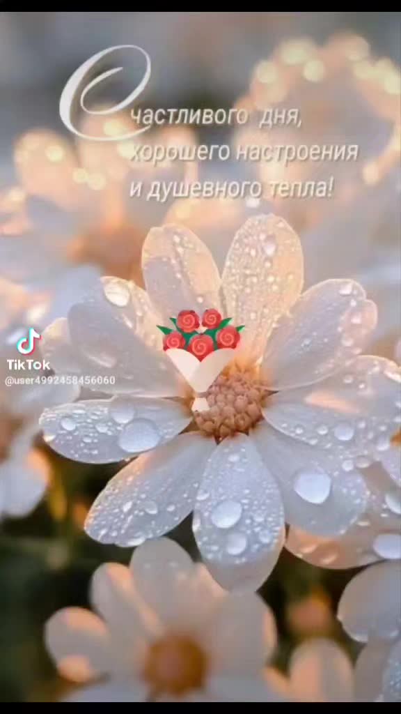 @Виталий Максимович