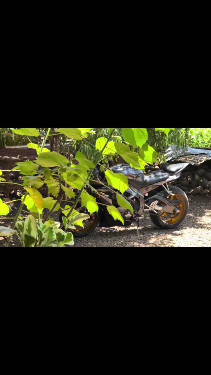 @De Le&oacute;n R6