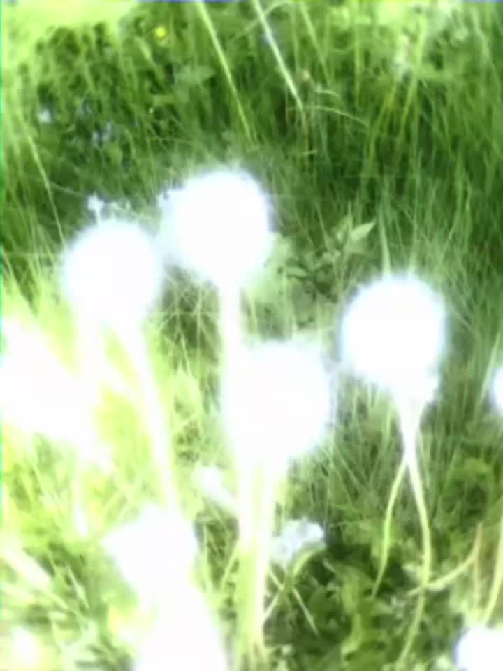 @Полина Базарова
