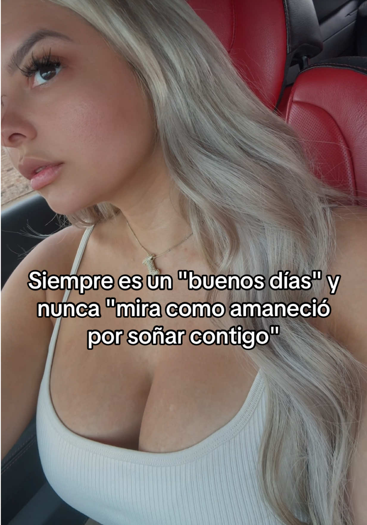 @ilce 🦁