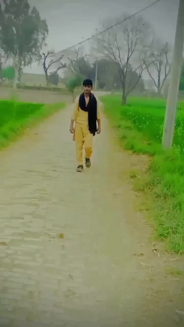 @mazharjani896