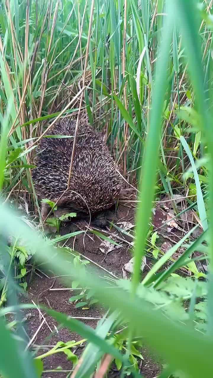 @Вера Калмыкова