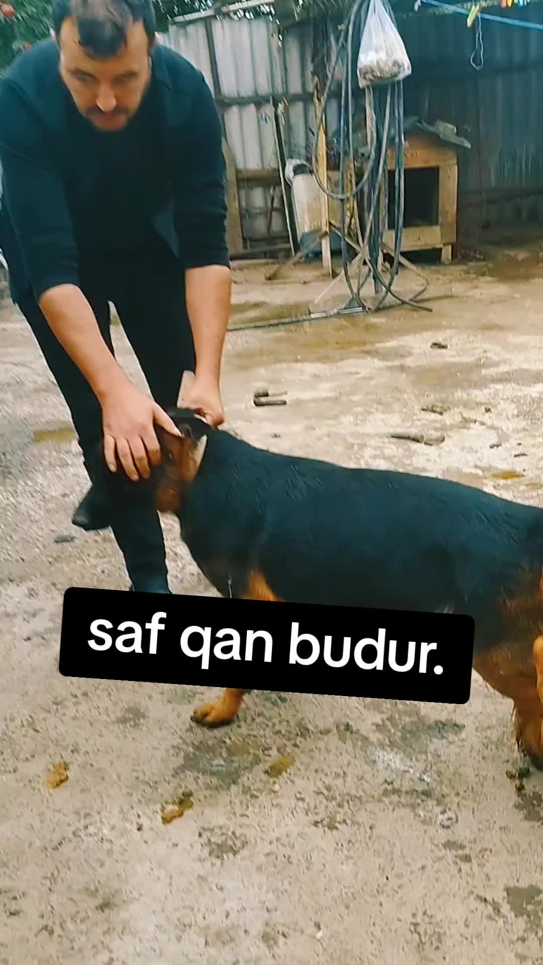 @ODLAR YURDU KİNOLOJİ MƏRKƏZİ
