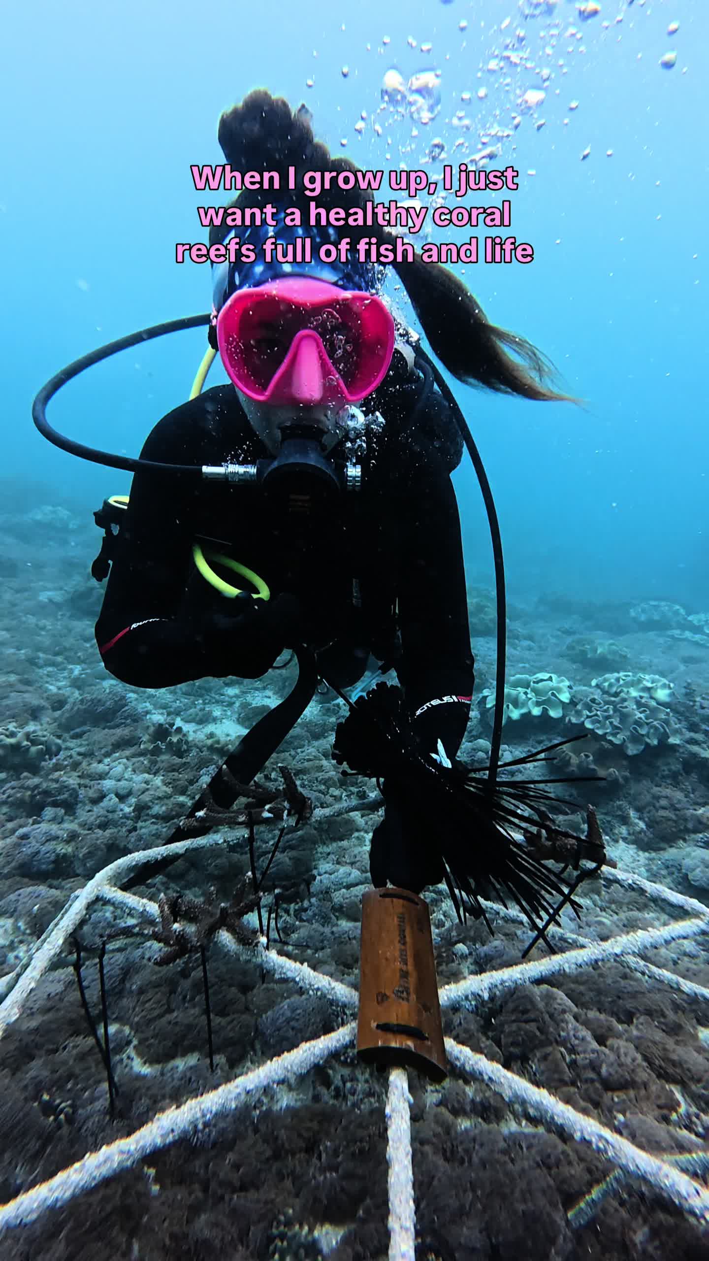 @The Dive Compass