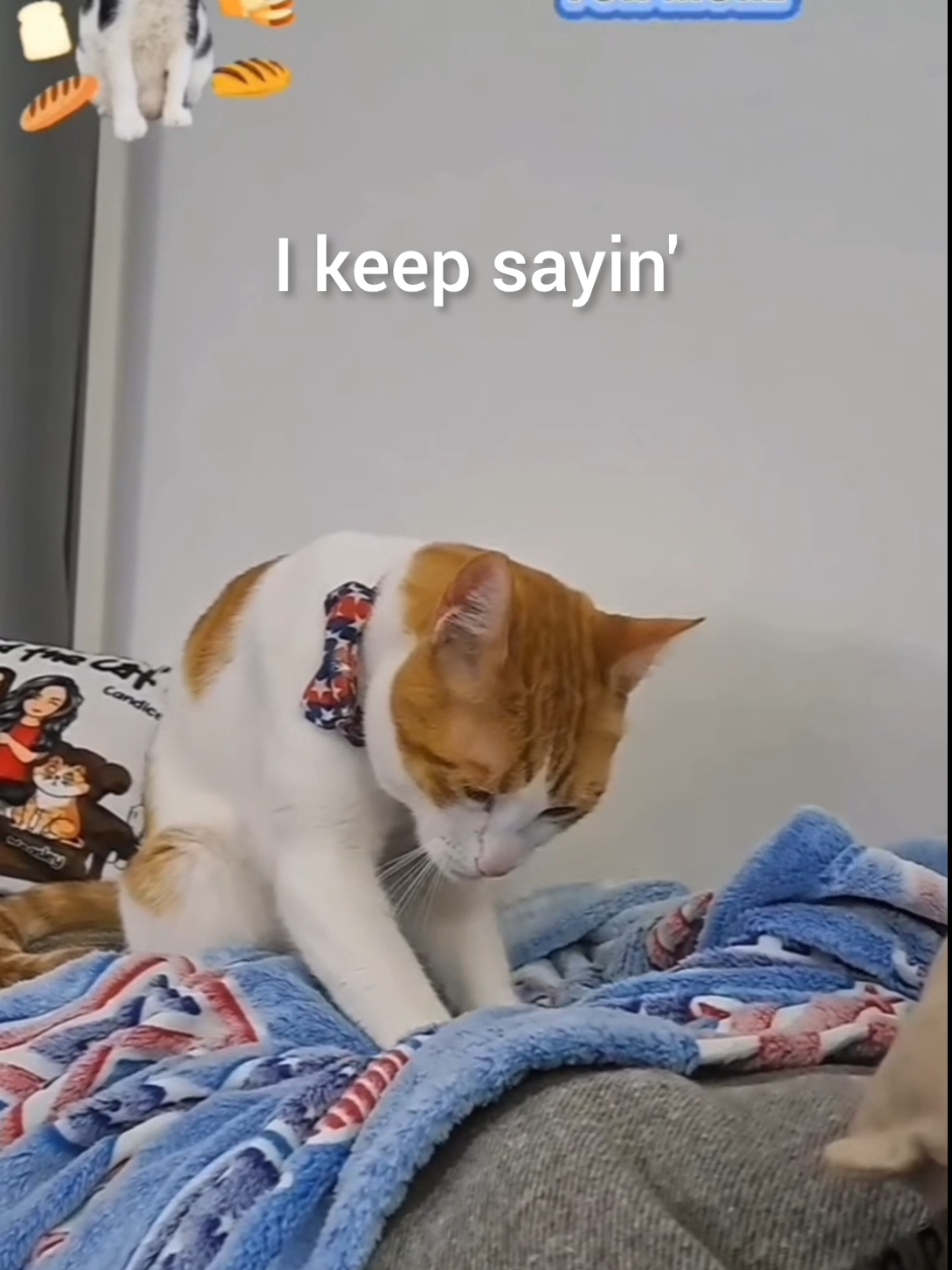 @Candice & Weasley