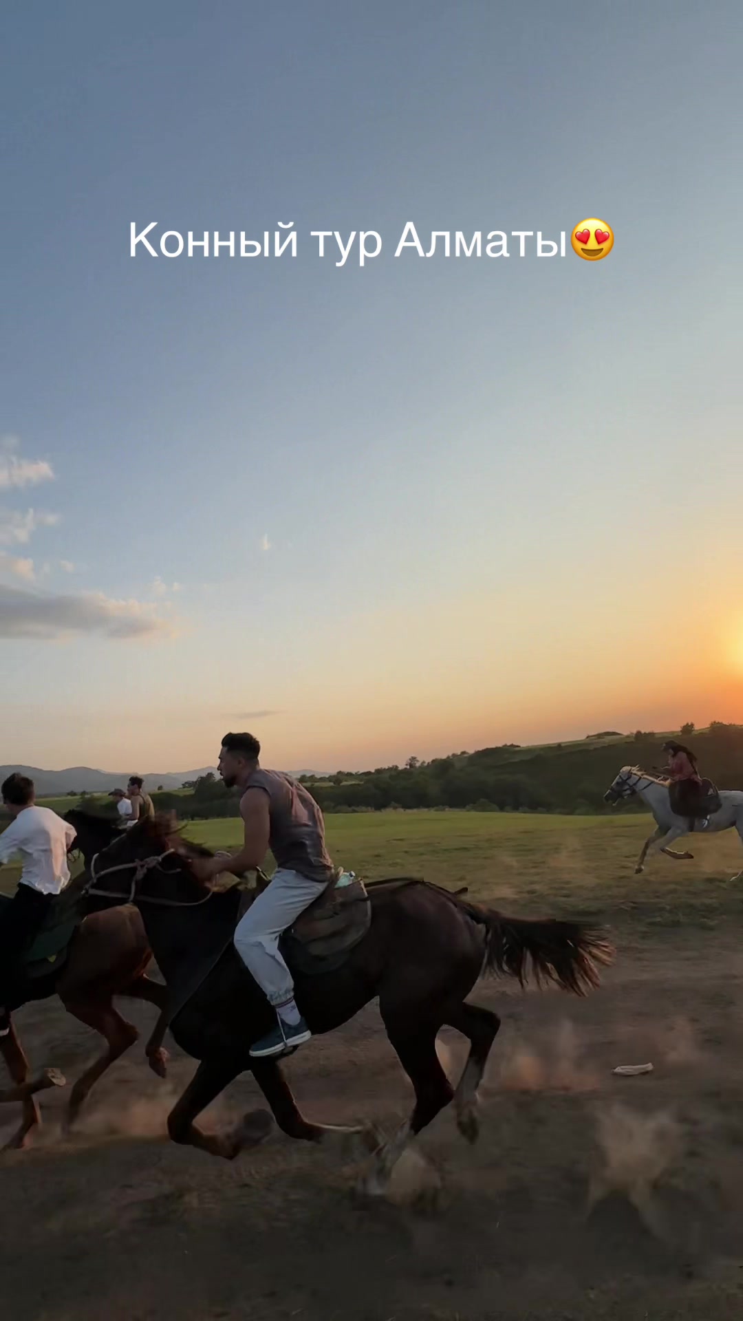 @tulpar_horses