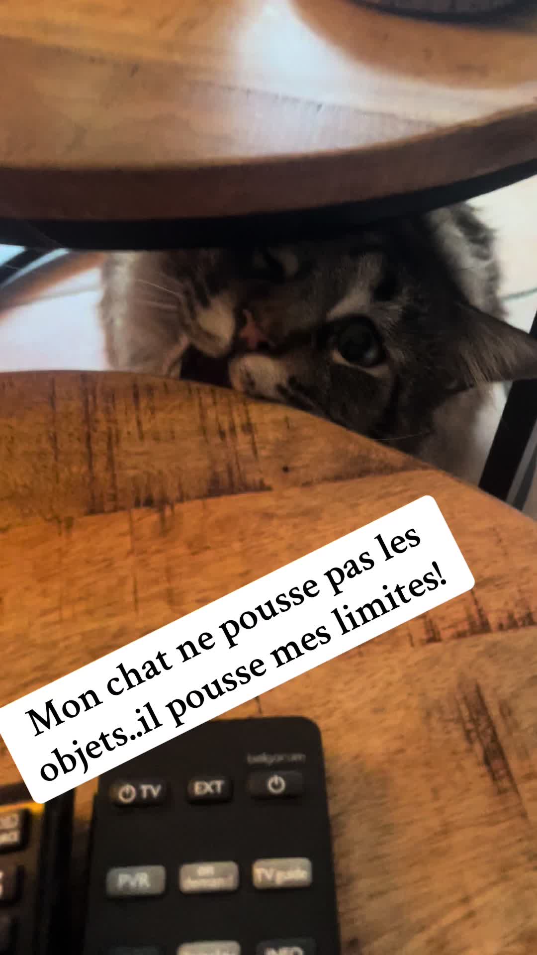 @lindase19