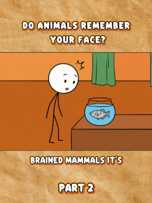@Pora Koppy 🇺🇸