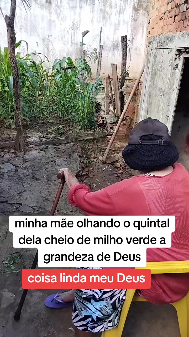 @PAULO MATOS 🇧🇷