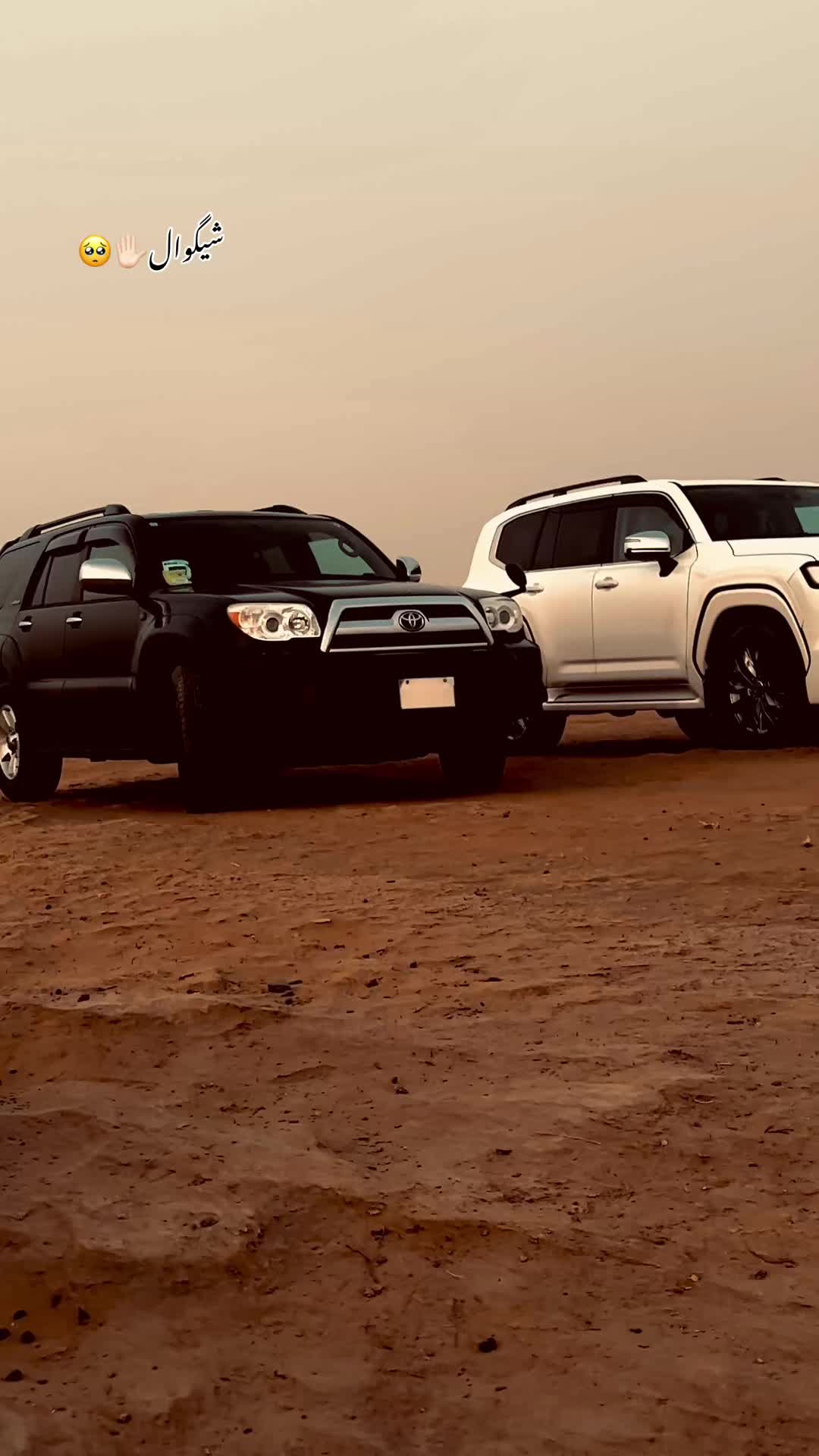 @☠️❌SHAGWAL❌☠️