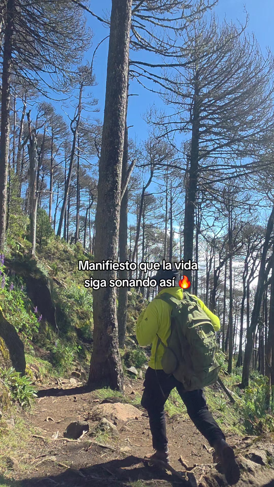 @Oliver Nómada