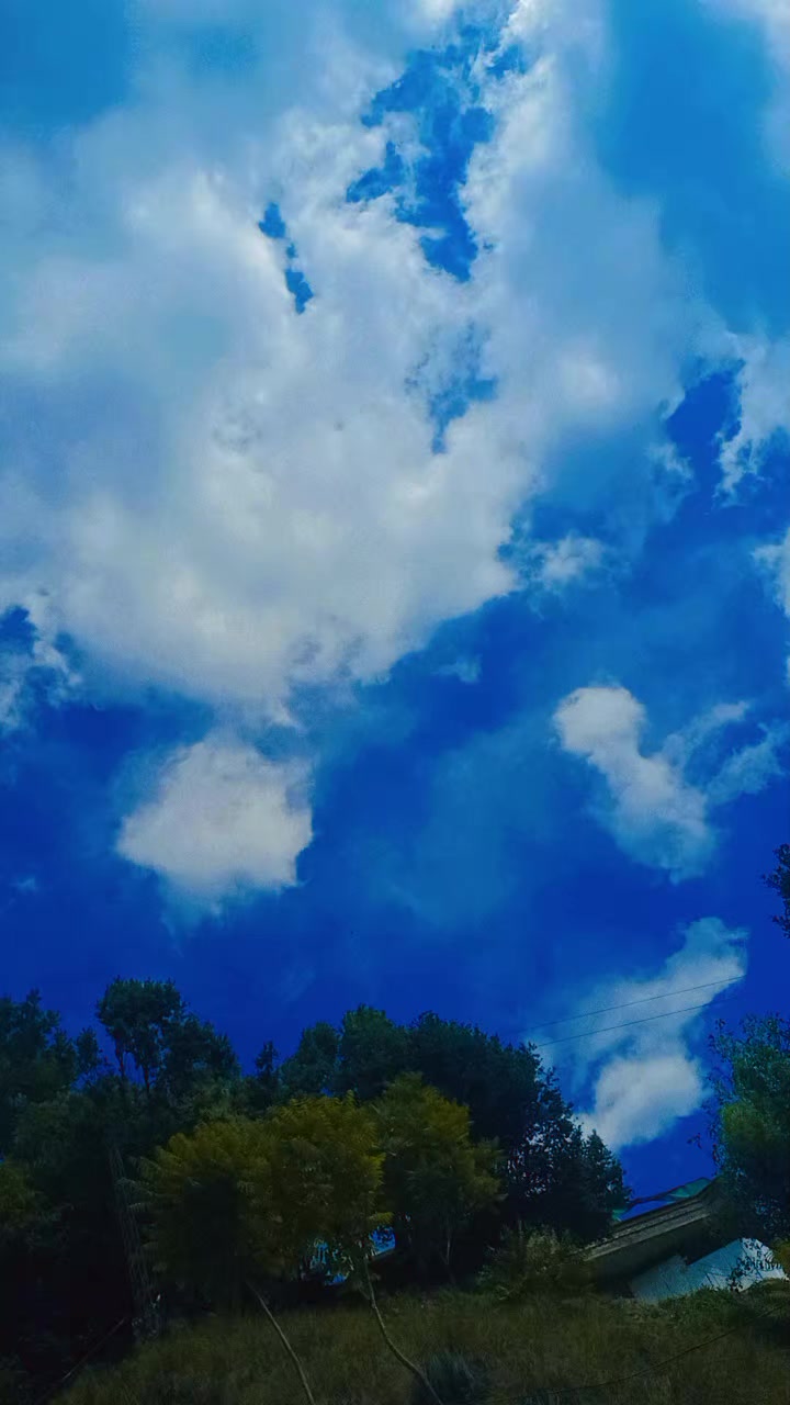 @NIYAZBIN🤗