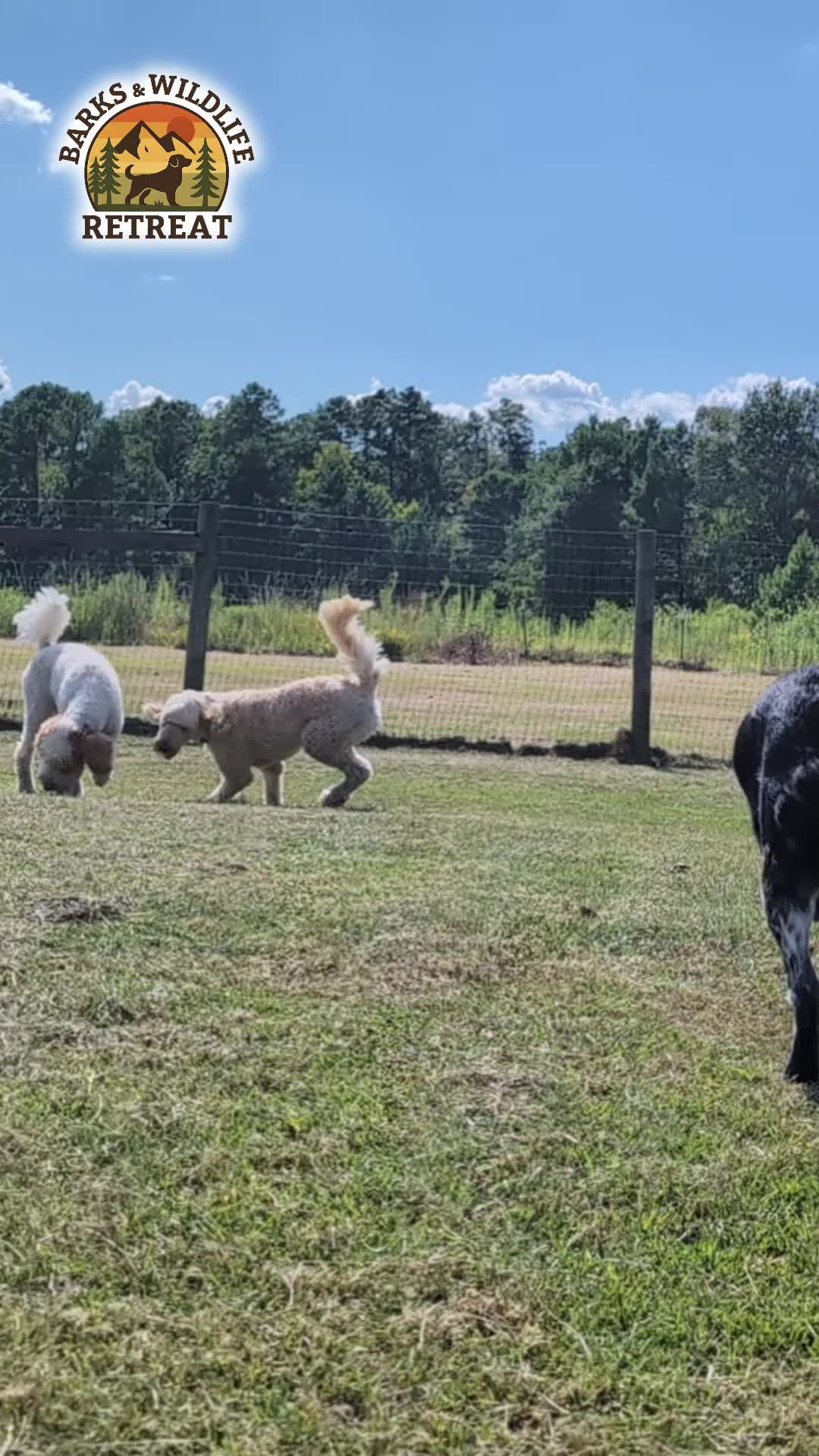 @Barks & Wildlife Longville LA