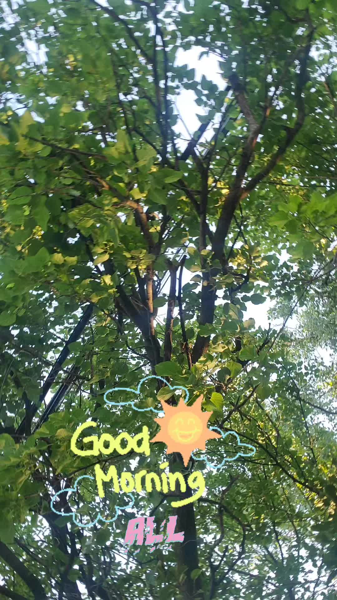 @🌺🧿 Rosh_Ram 🧿🌺