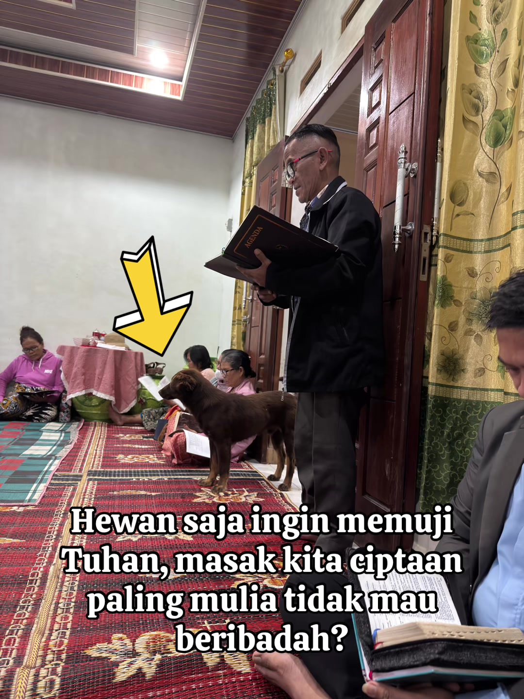 @Pak Don
