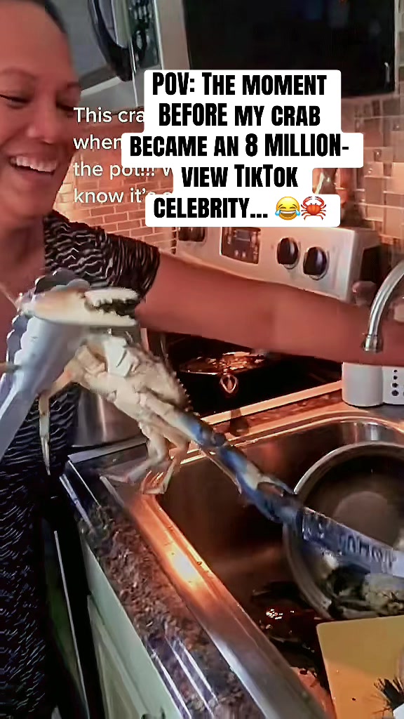 @theadorablechef