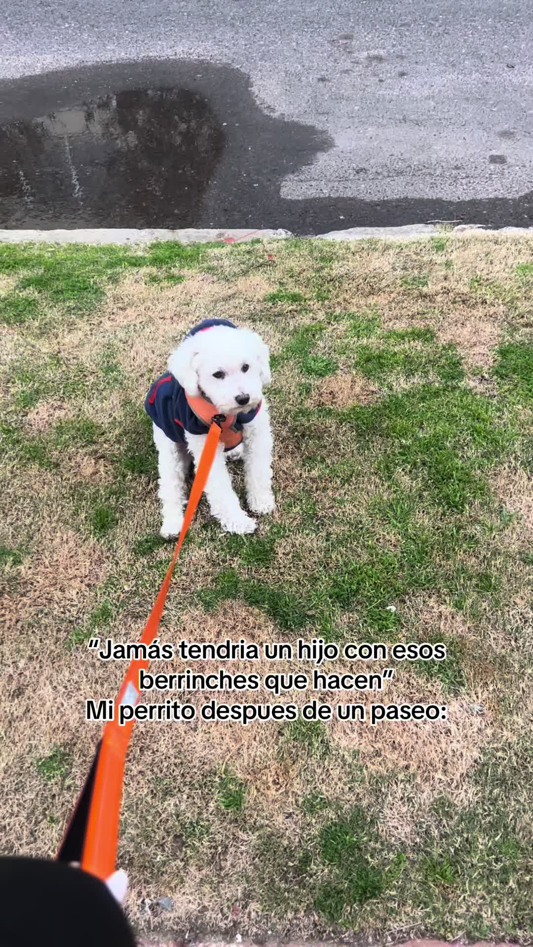 @Lud