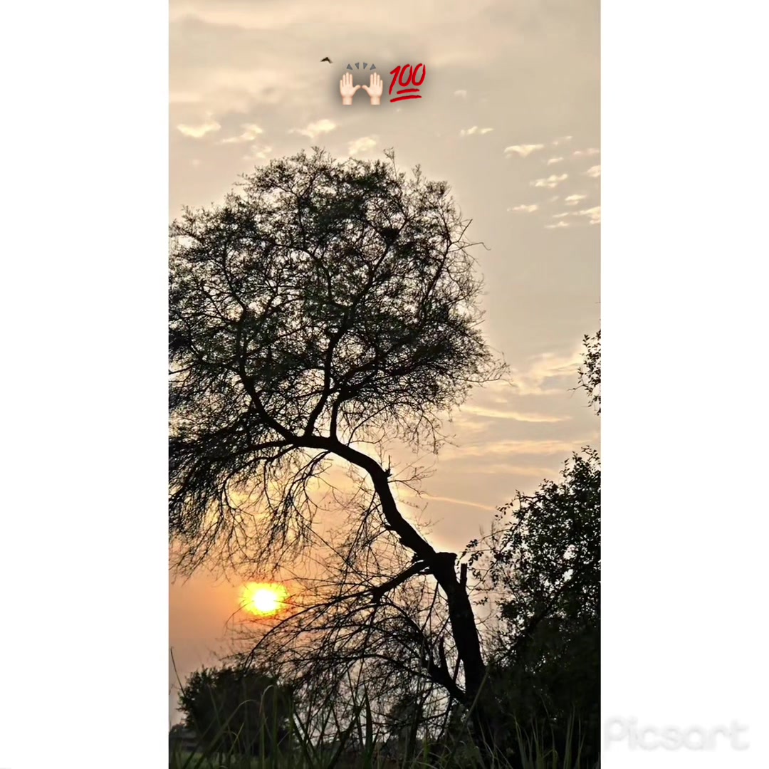 @ray_zeeshan_1001