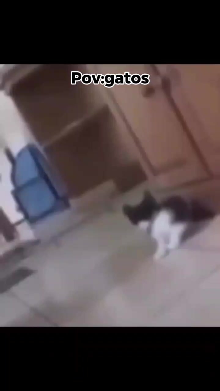 @aaronvedia