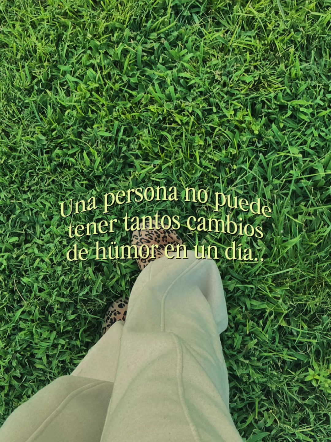 @Lü😻🇸🇻