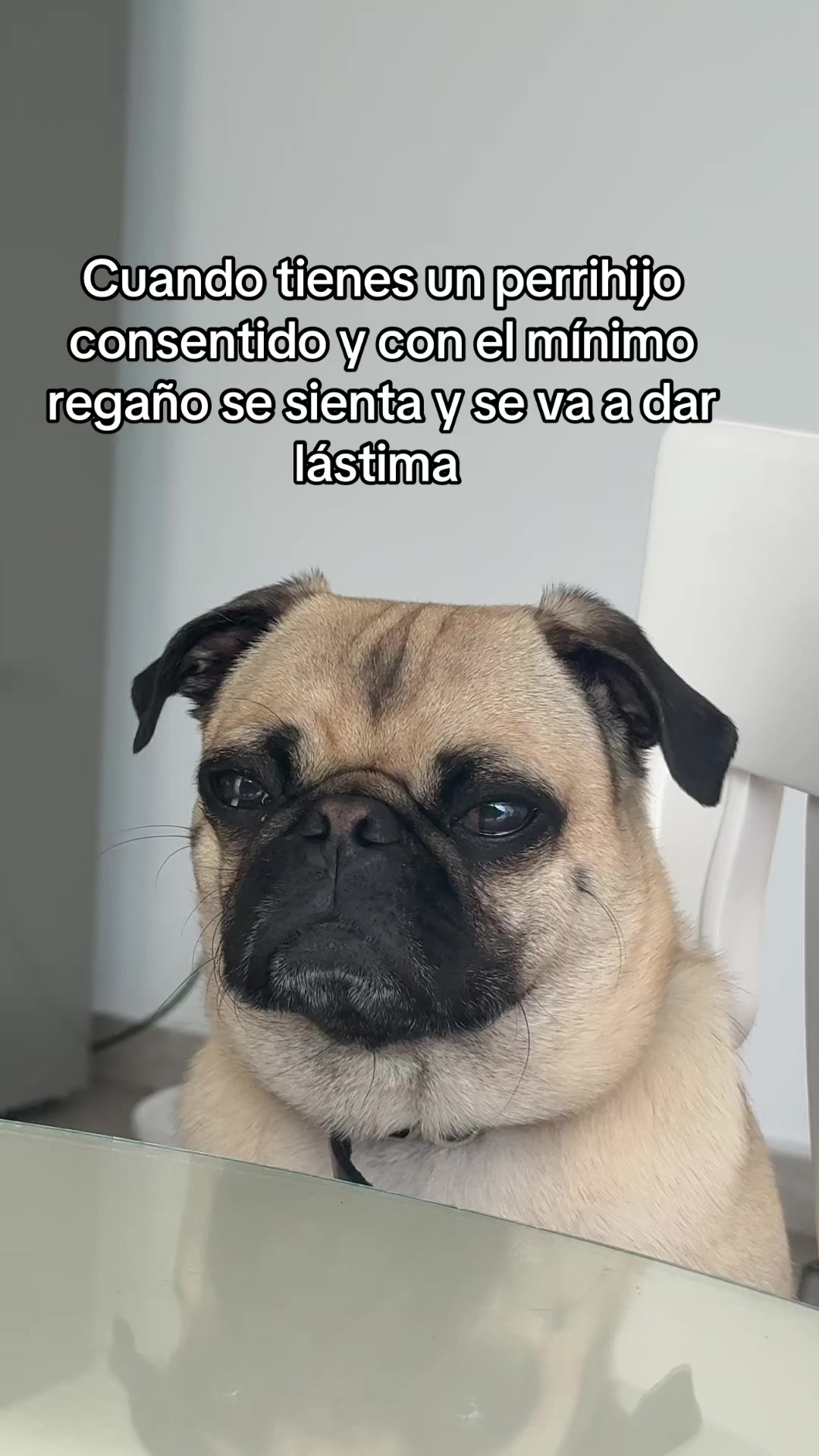@Alexa&elcarnalchiss