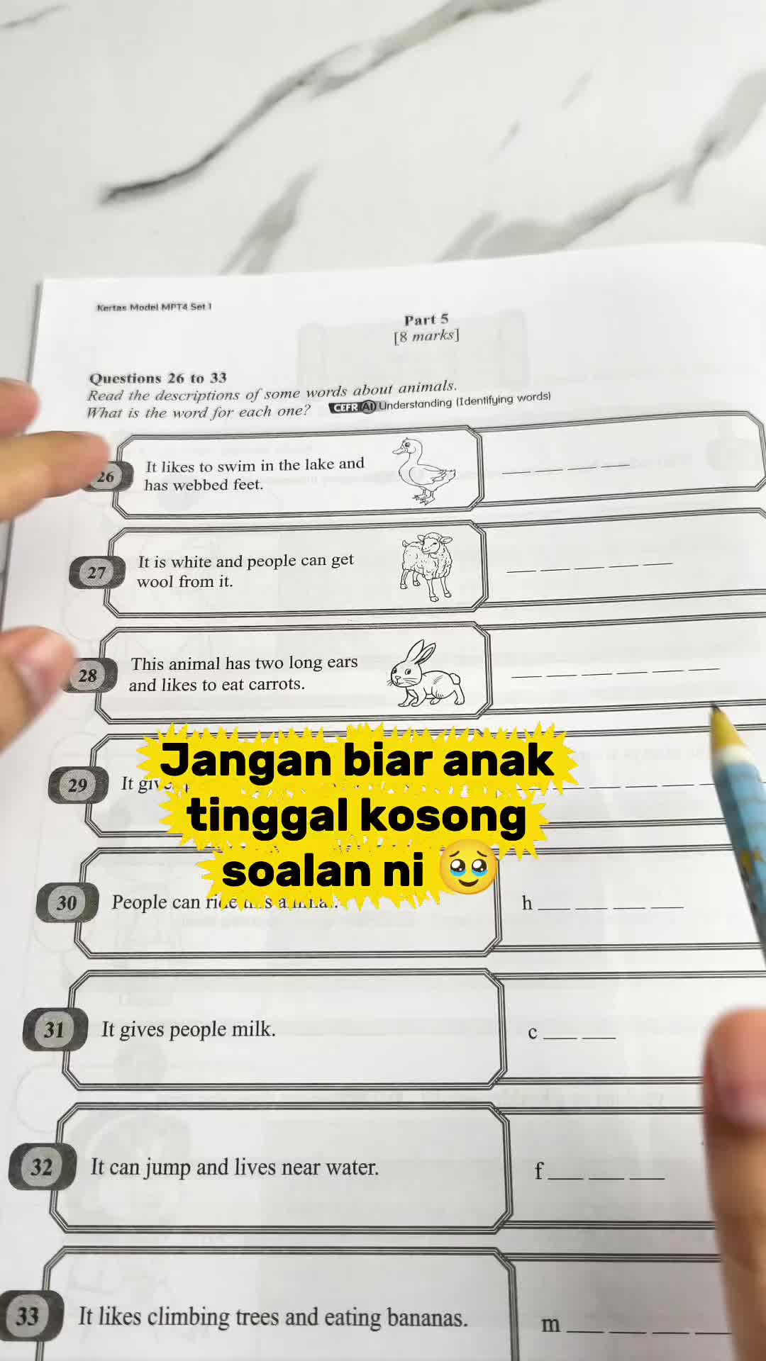 @Hana Hanis Aisyah