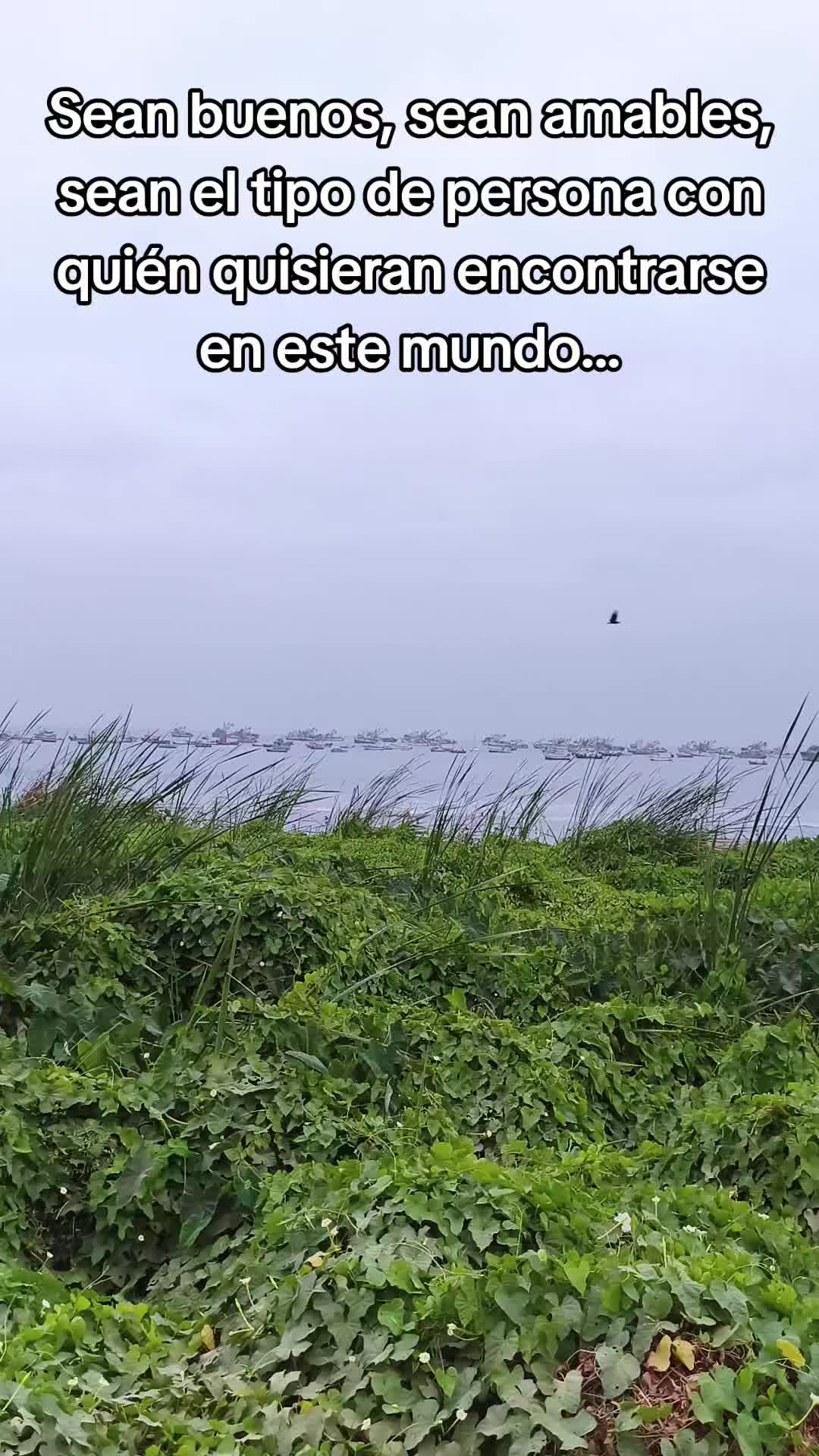 @Diego Trinidad