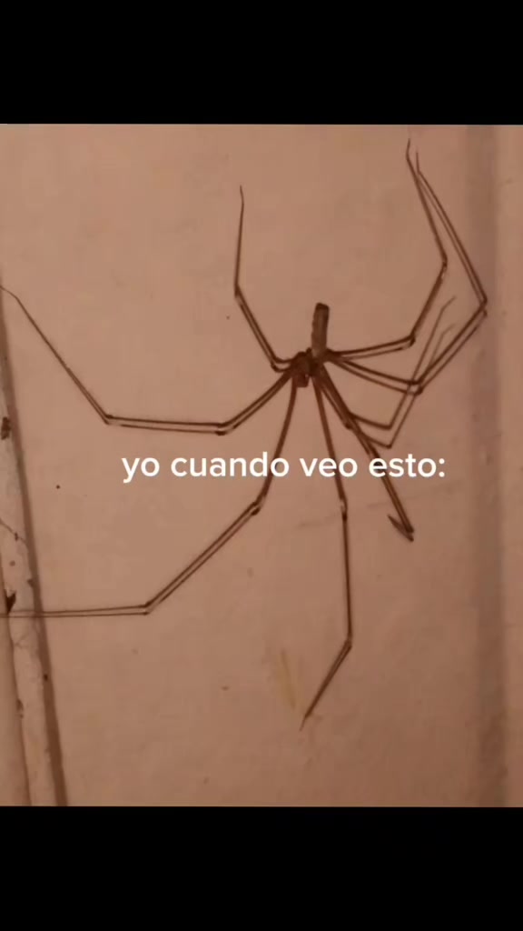 @🪼*＊✿❀ 𝑀𝑖𝑚𝑖𝑖 ❀✿＊*🍄