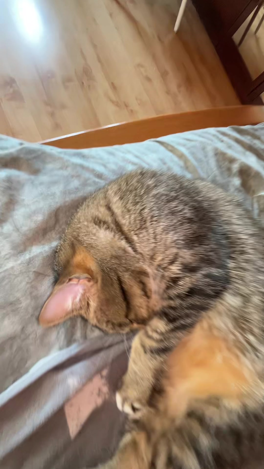 @kuzea_π