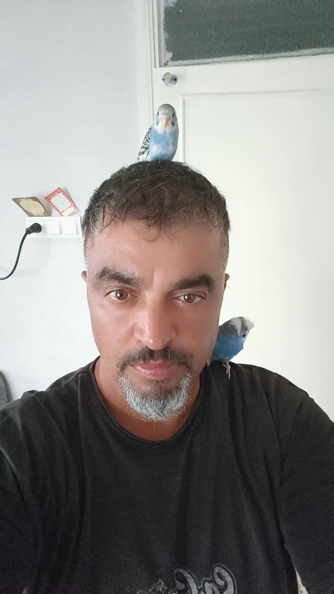 @Y&uuml;ksel muhabbet kuşu