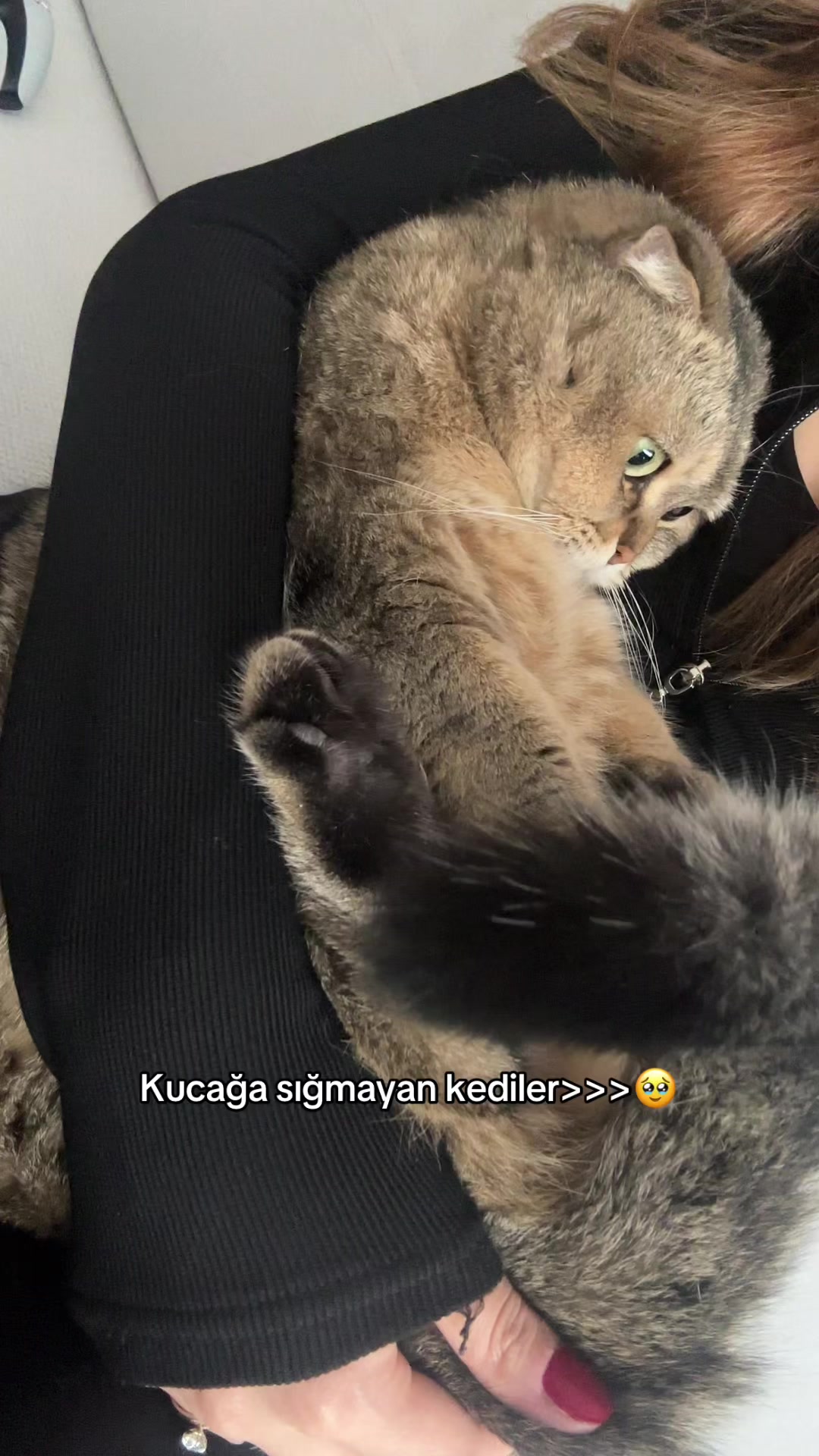 @Seda