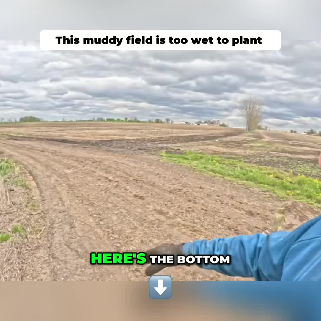 @Kip Siegler Farming