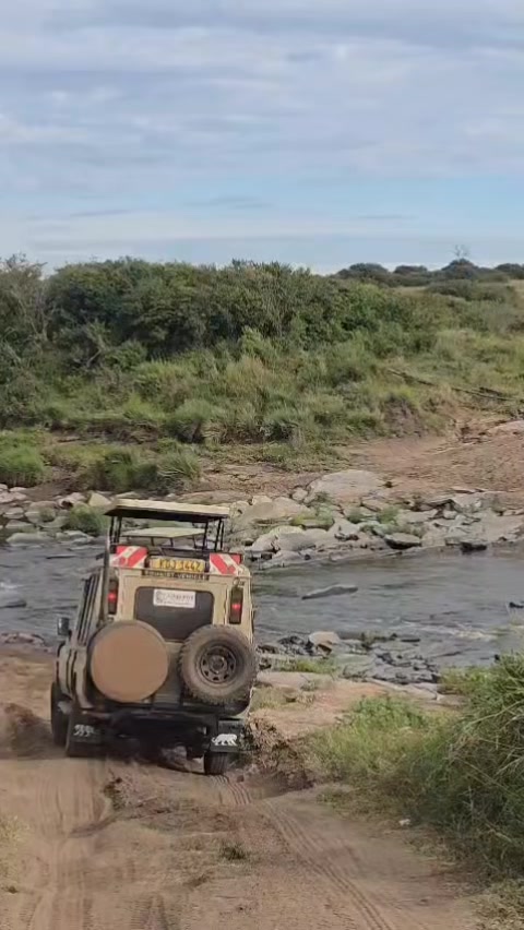 @Deno_wa_safari