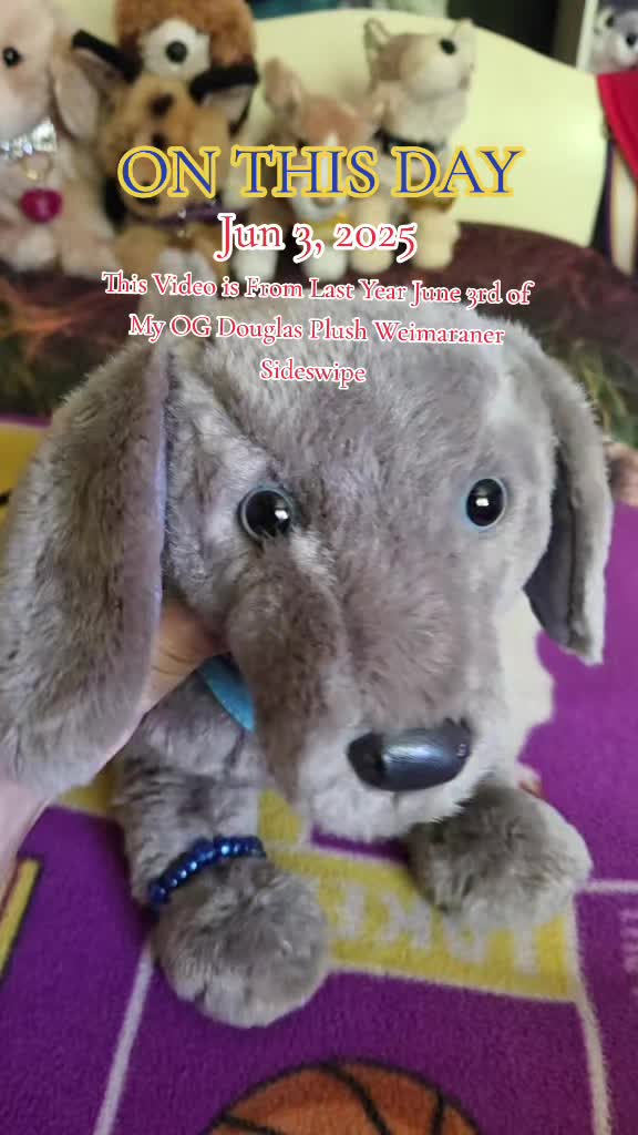 @🪸🦭🪼IsabellaandDino🪸🫍🐬