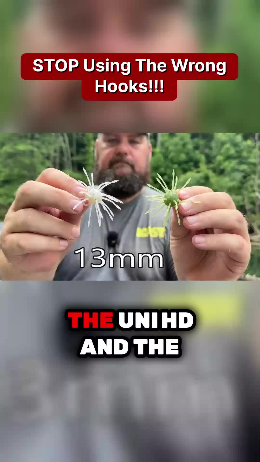 @bassgeek