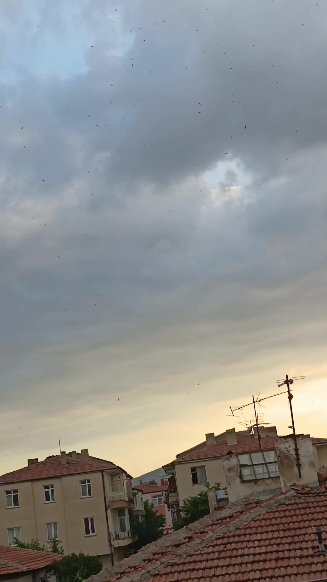 @💞⧣̶⃪⃪دفى ال⿻قلب ོ🪐💞