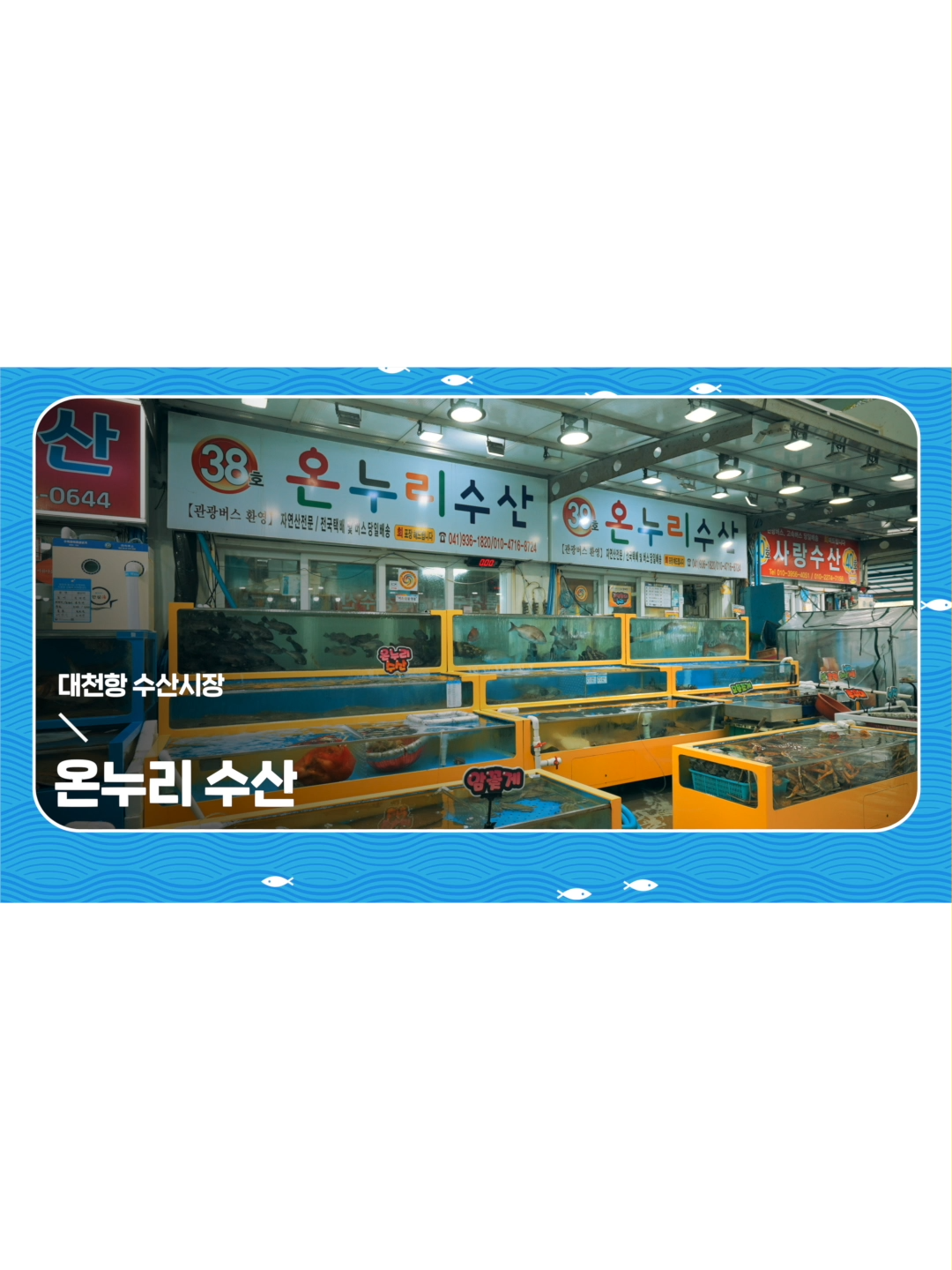@대천항수산시장