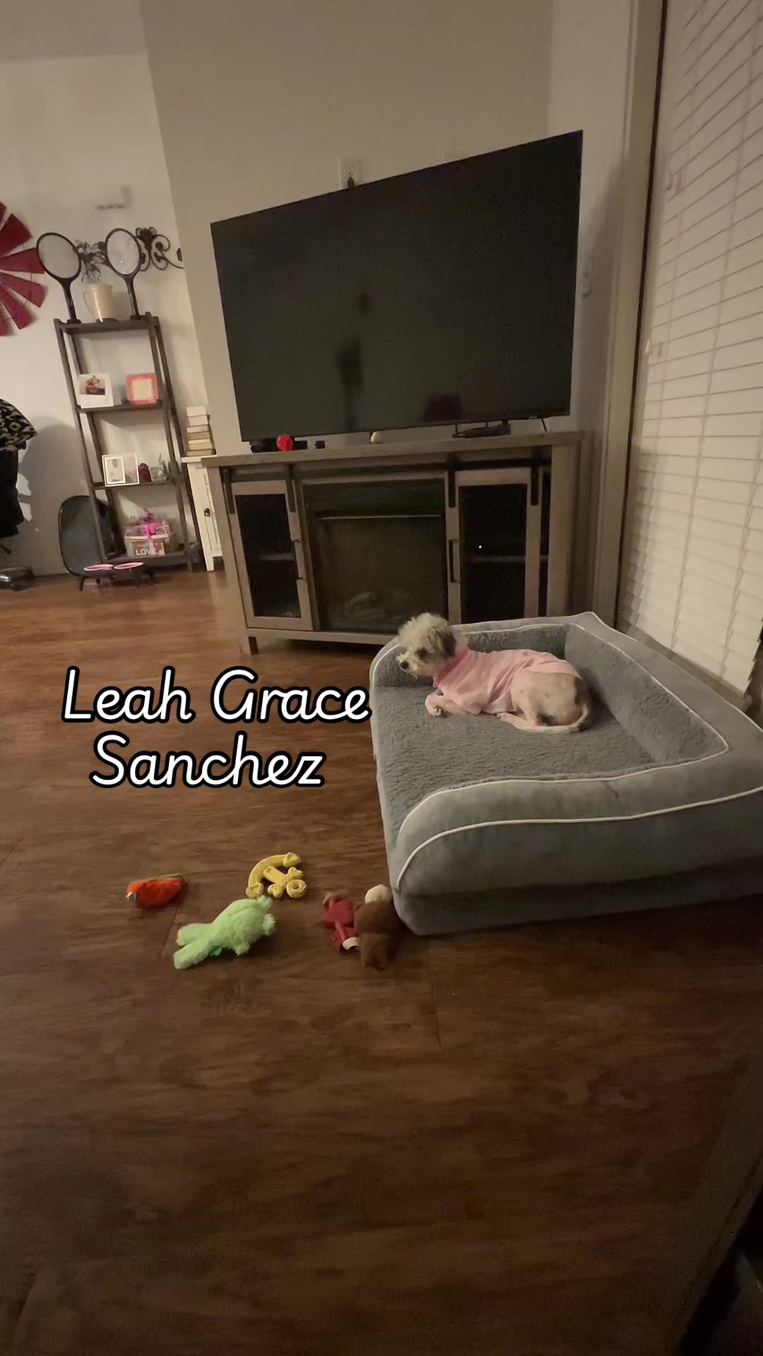 @Angelica Sanchez