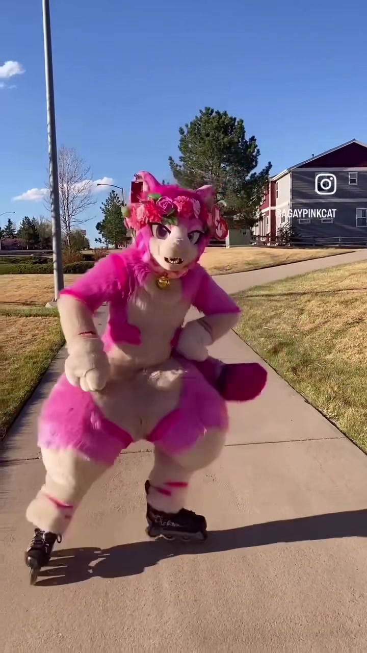 @AGayPinkCat