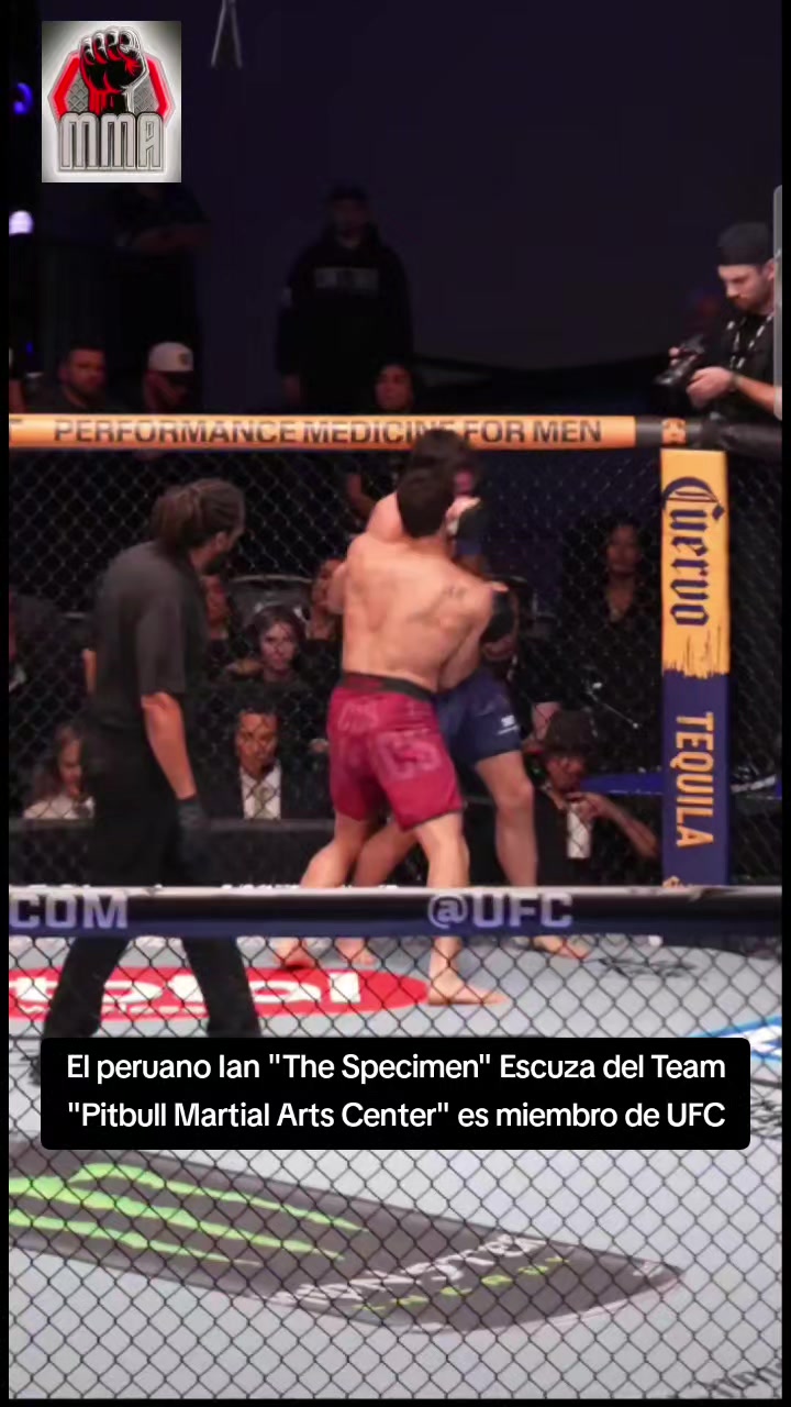 @GLOBALMMA