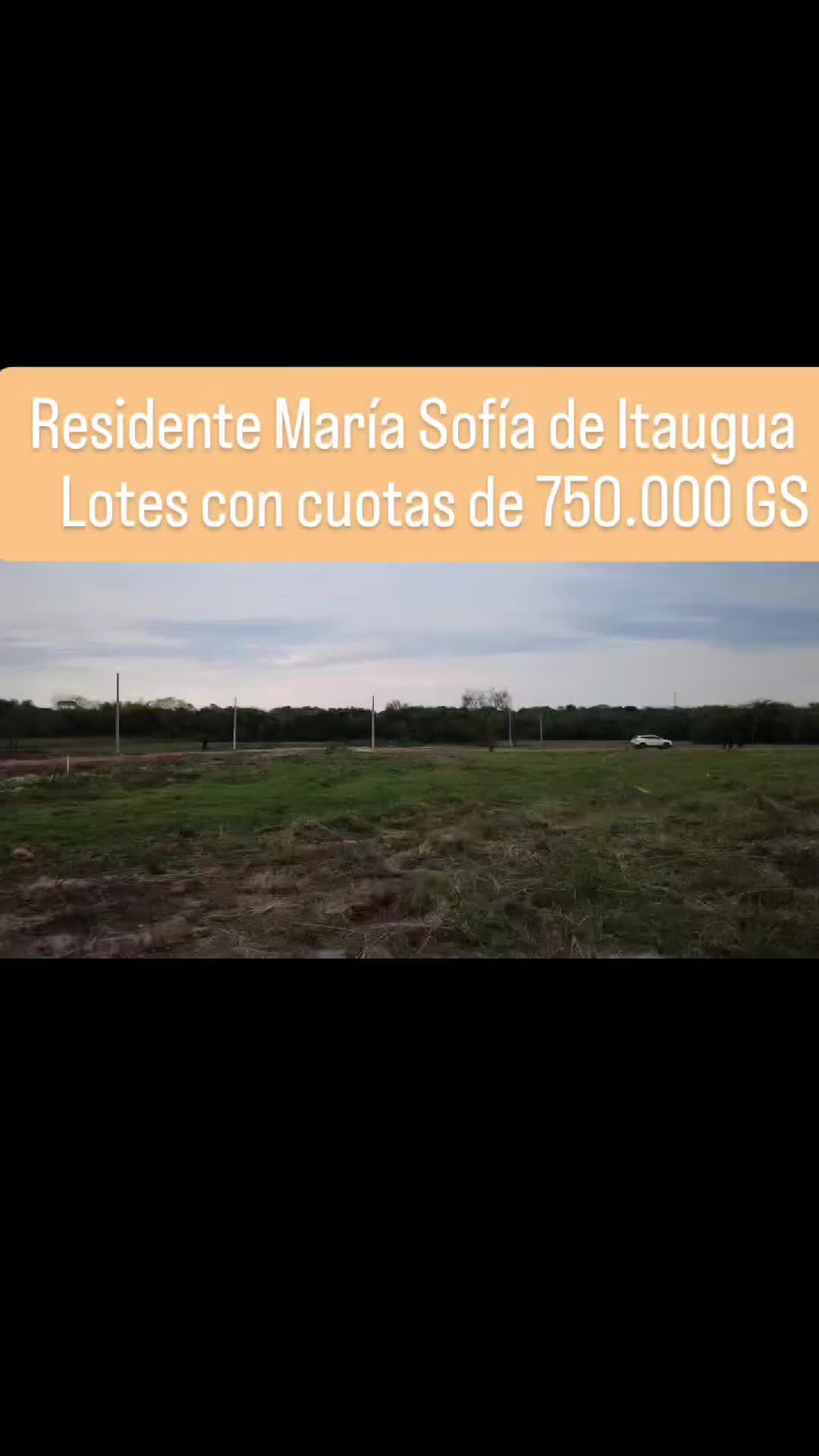 @Blanca Cardozo