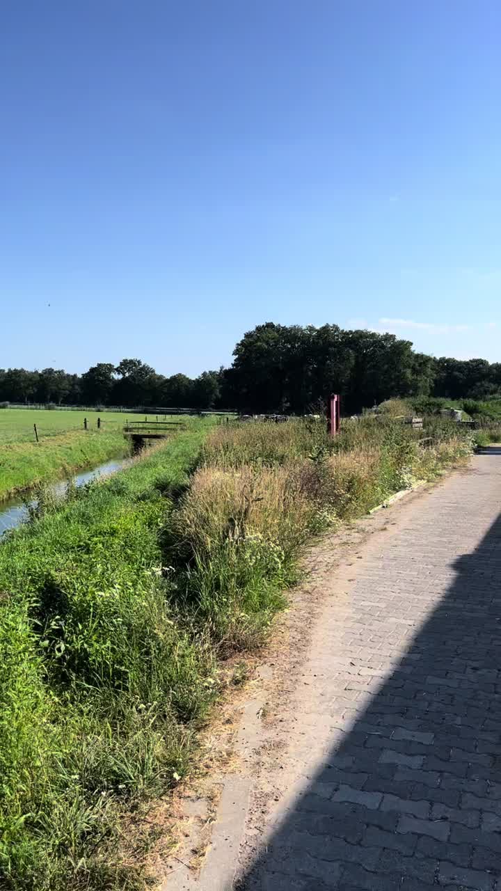 @zaterdagstrijders
