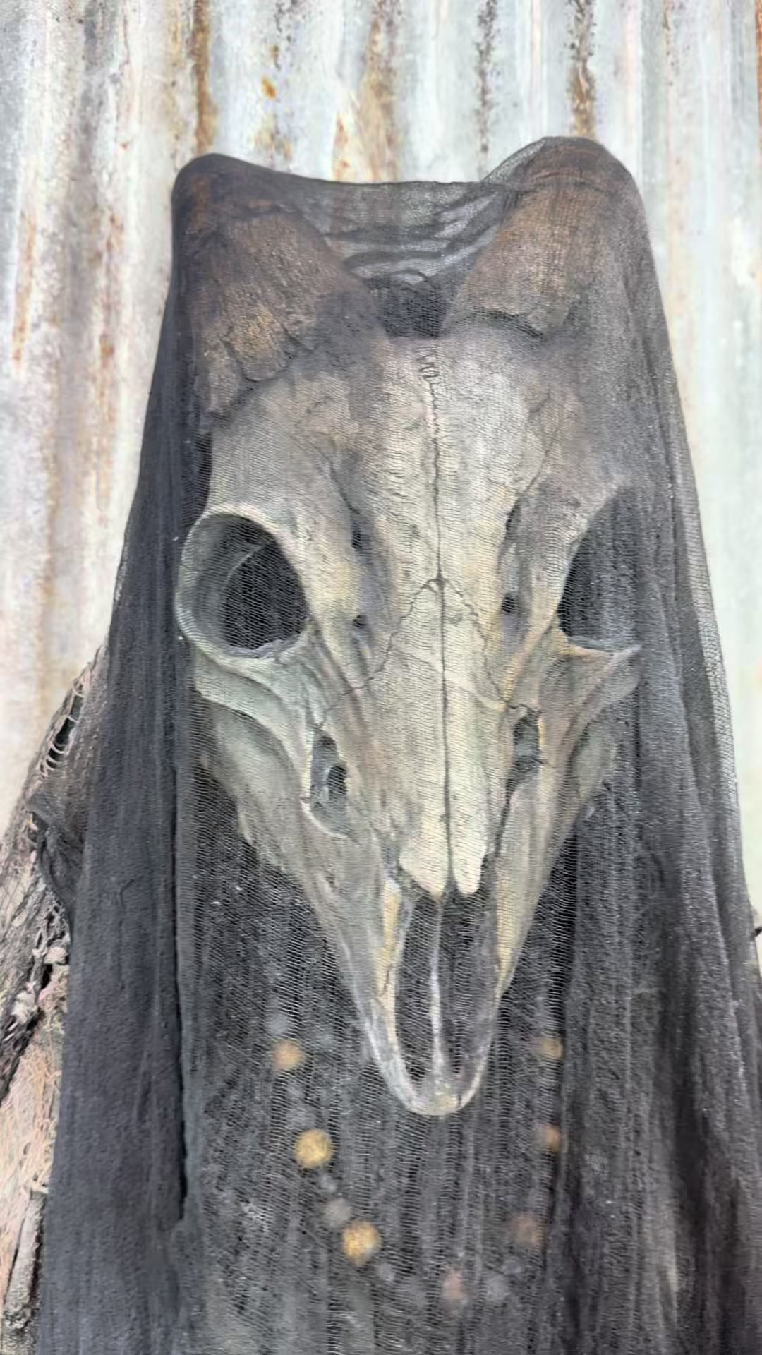 @Dark Creations ATX