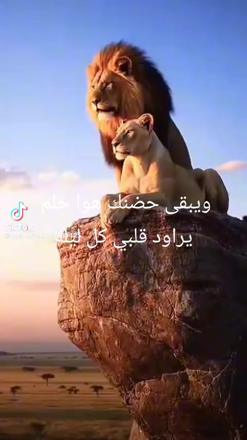 @شهاب الدين