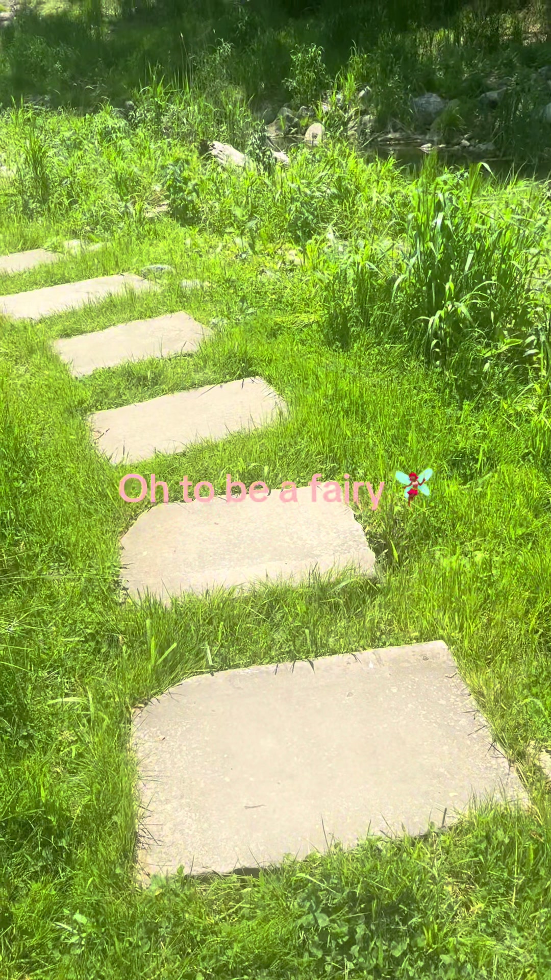 @ogdjcandymix