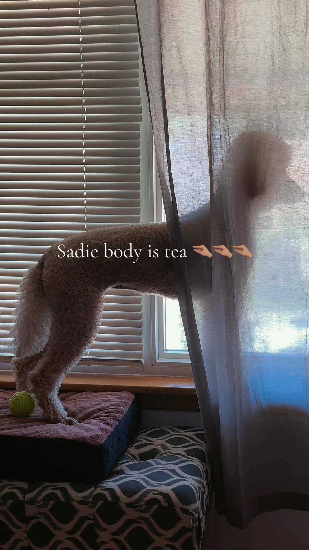 @packwalkdiaries
