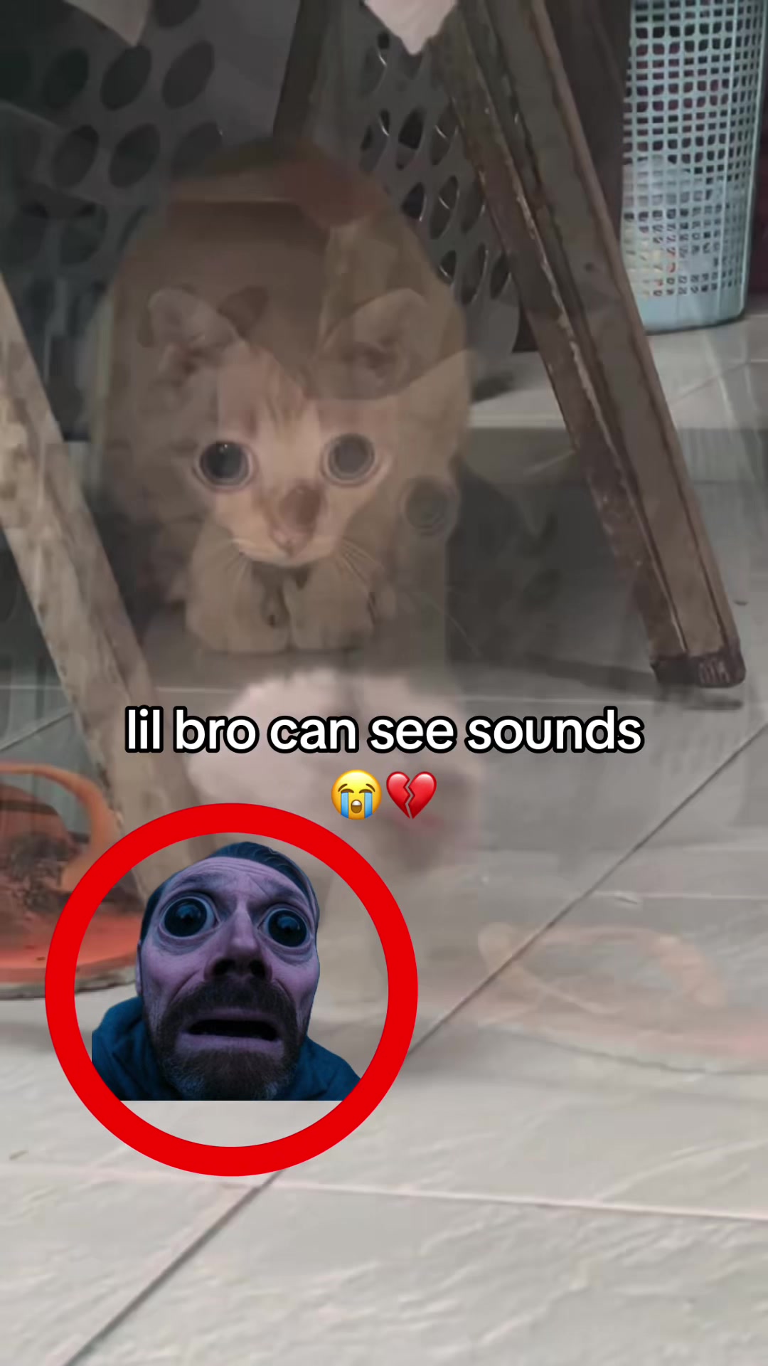 @bababooy1.2