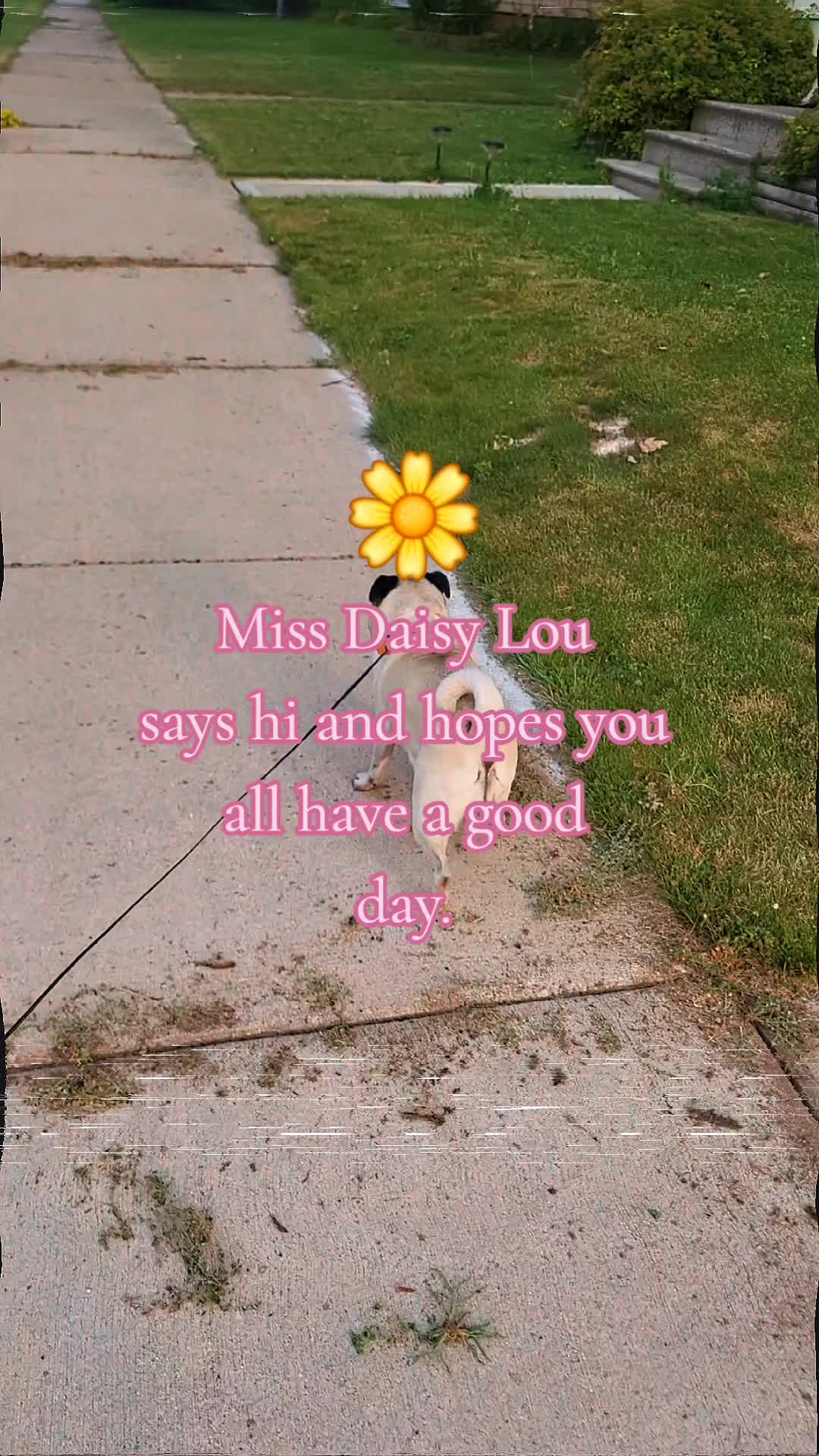 @💚kellymarie💚117💚