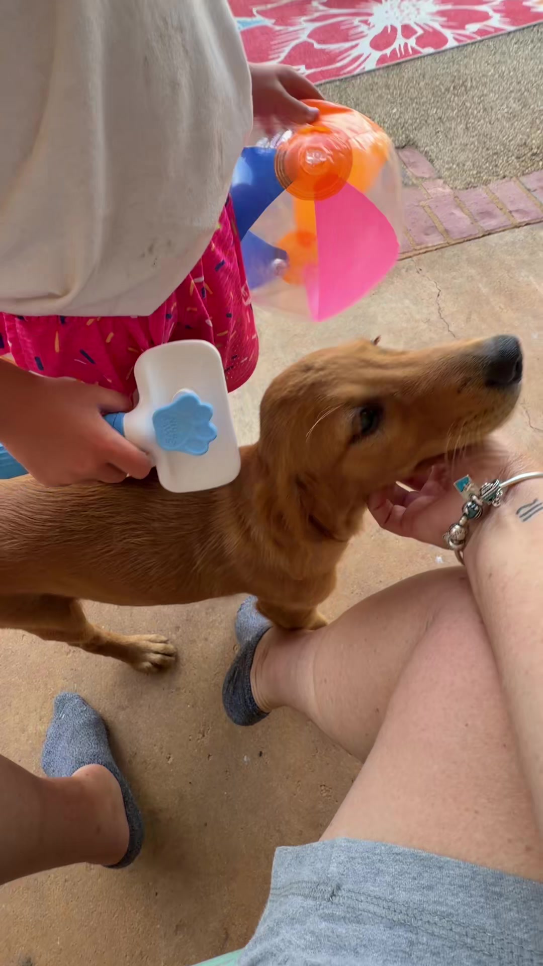 @RhondasRetrievers