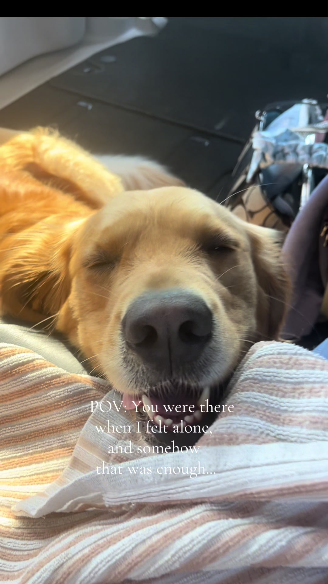 @Winnie the Golden Girly